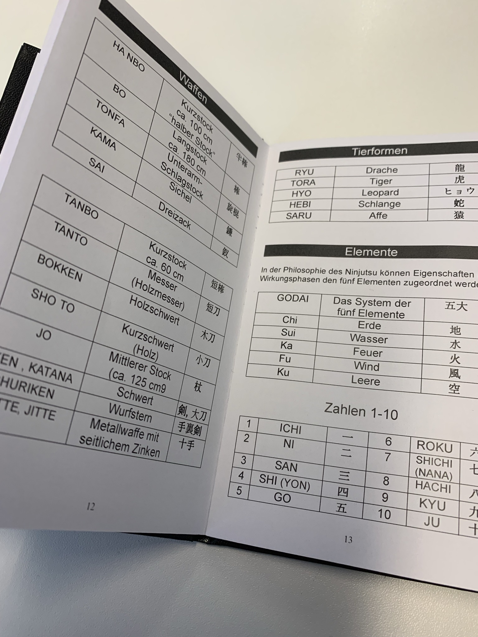 IBKMAF Ninjutsu Manual