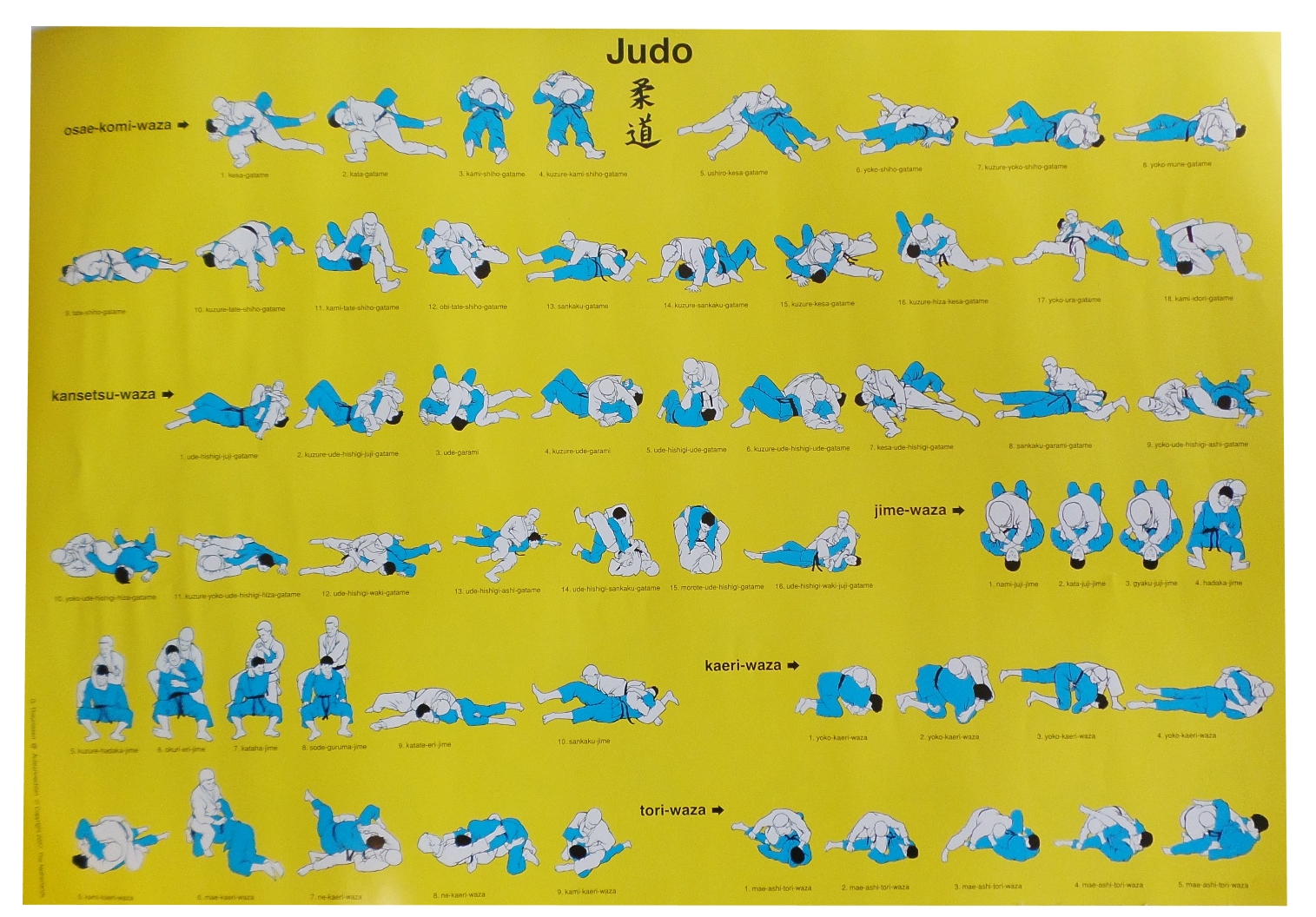 Lehrposter Judo II Wurftechniken Ne-Waza