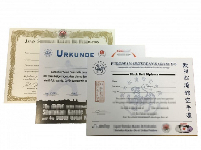 Urkunden DIN A3 quer mit individueller Beschriftung für Dojos, Verbände und Stilrichtungen