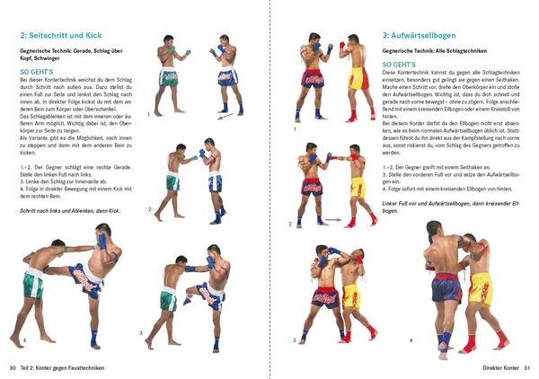 Thaiboxen - Profitechniken und Kampftraining (Delp, Christoph)