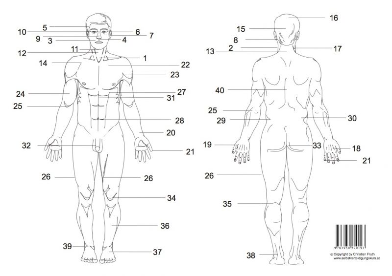 Nervenpunkttafel - Dim Mak Lerntafel