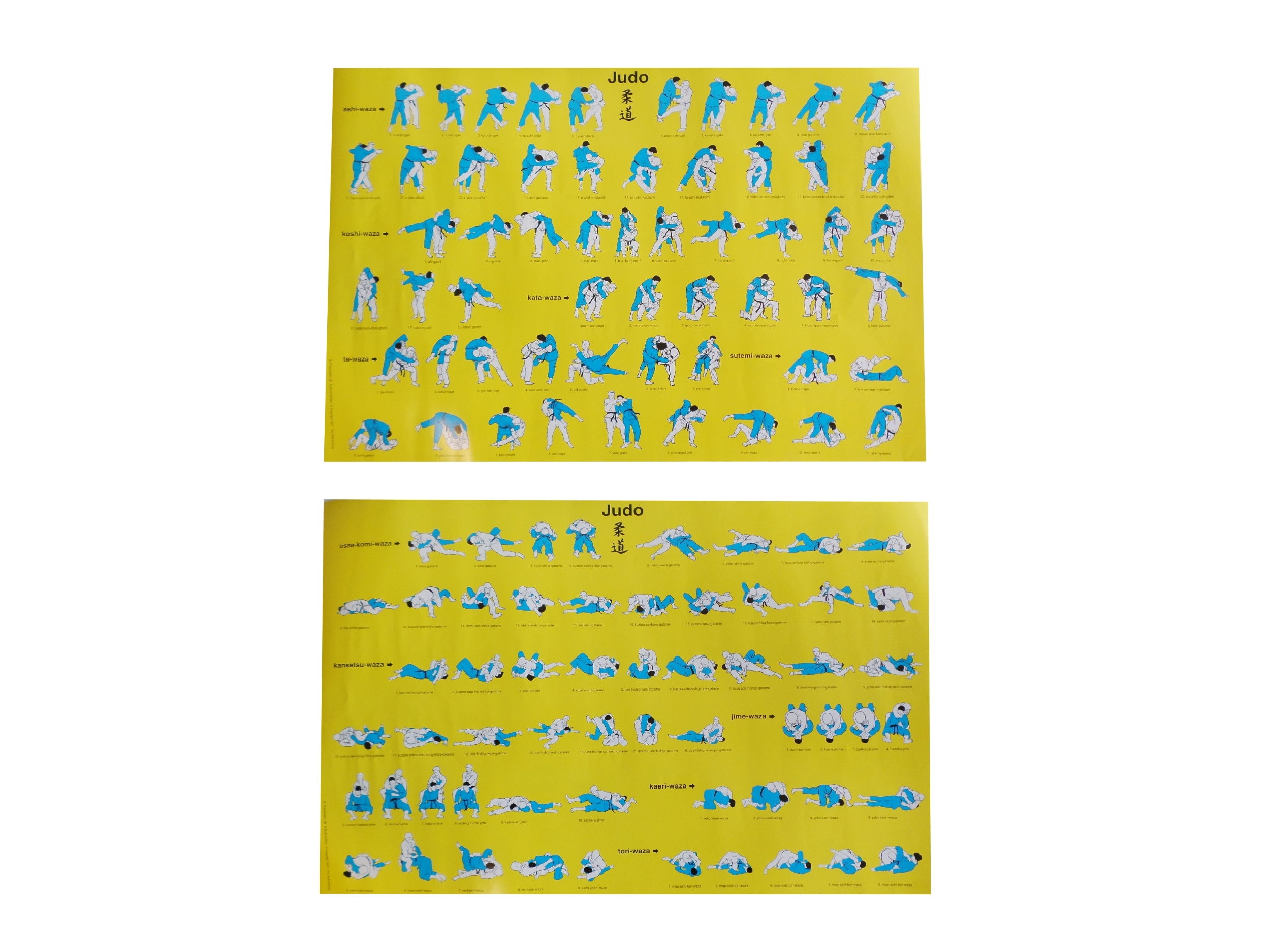 SET: Lehrposter Judo I Tachi-Waza & Judo II Ne-Waza