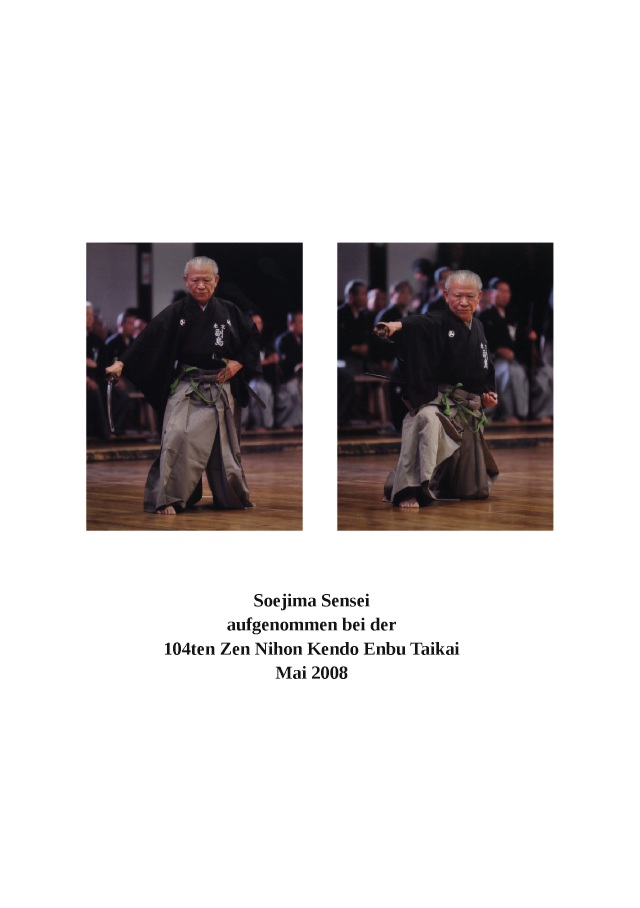 Leitfaden zum Muso Shinden Ryu (Deutscher Iaido Bund e.V. (Hrsg.))
