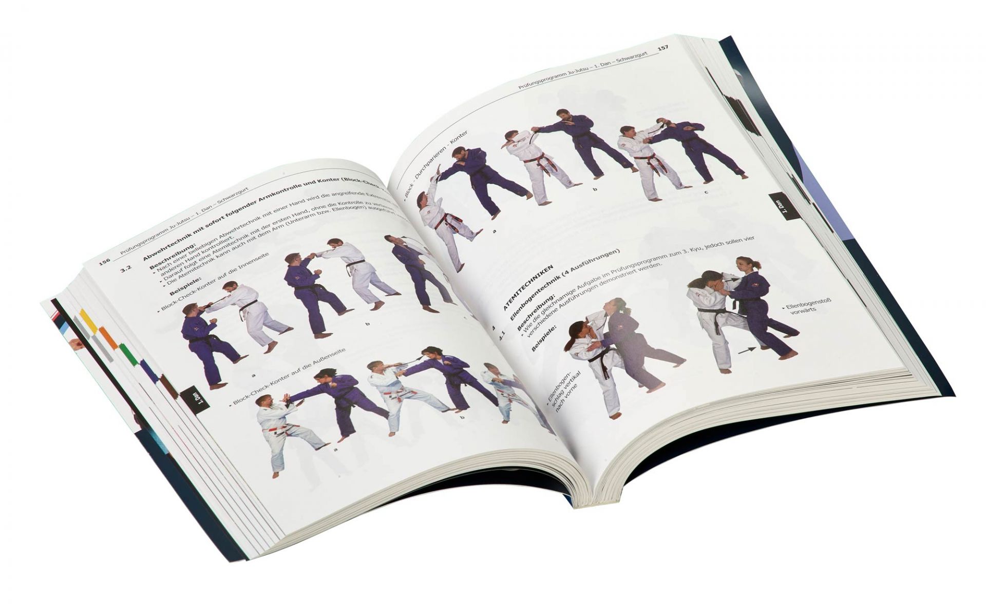 Ju-Jutsu 1x1: Jiu-Jitsu, Brazilian Jiu-Jitsu, Hanbo-Jutsu (Ausgabe 2024)