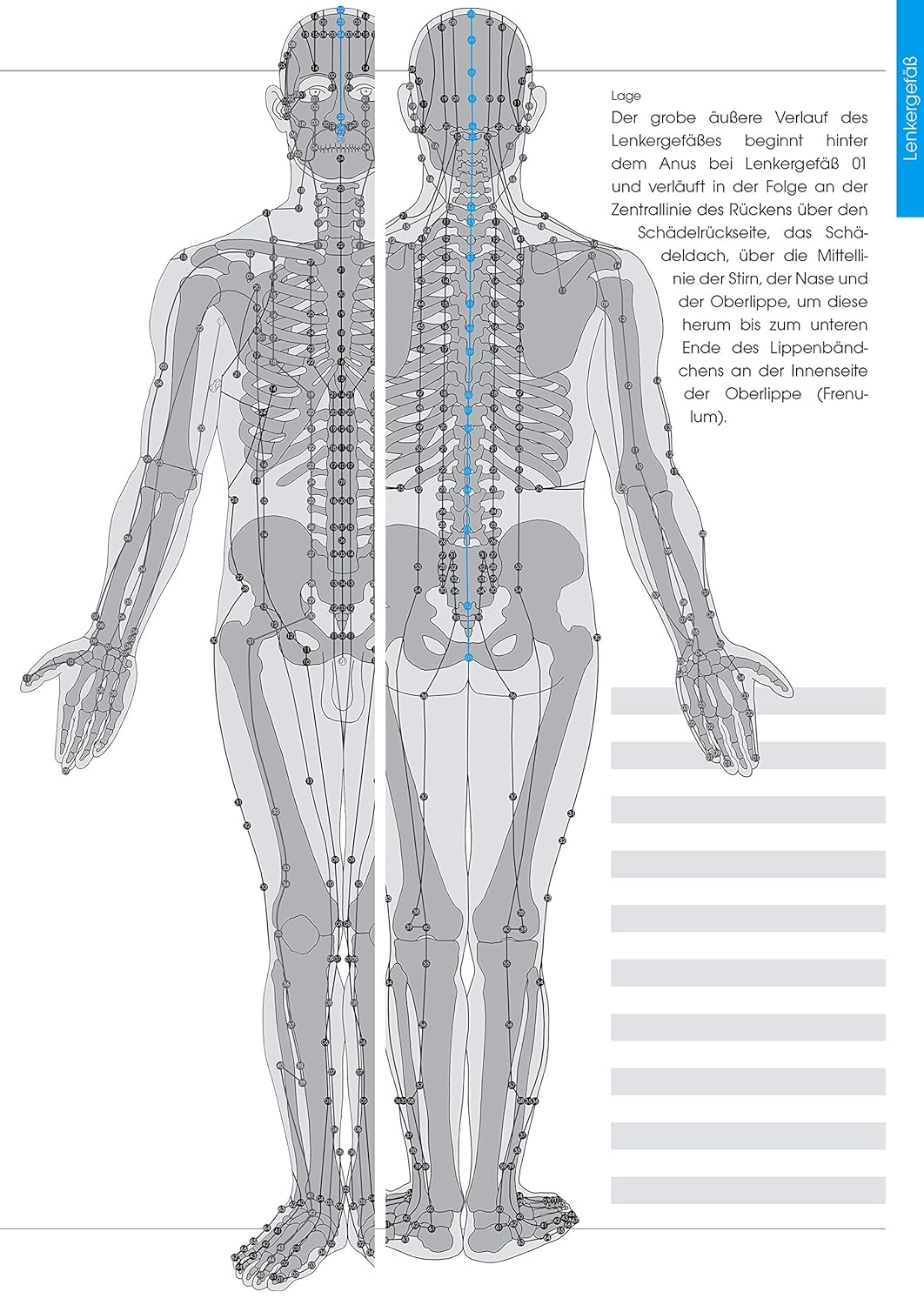 Kyusho-Jitsu: Geheimnisse der Vitalpunkte, Band 3 (Zink, Manfred)