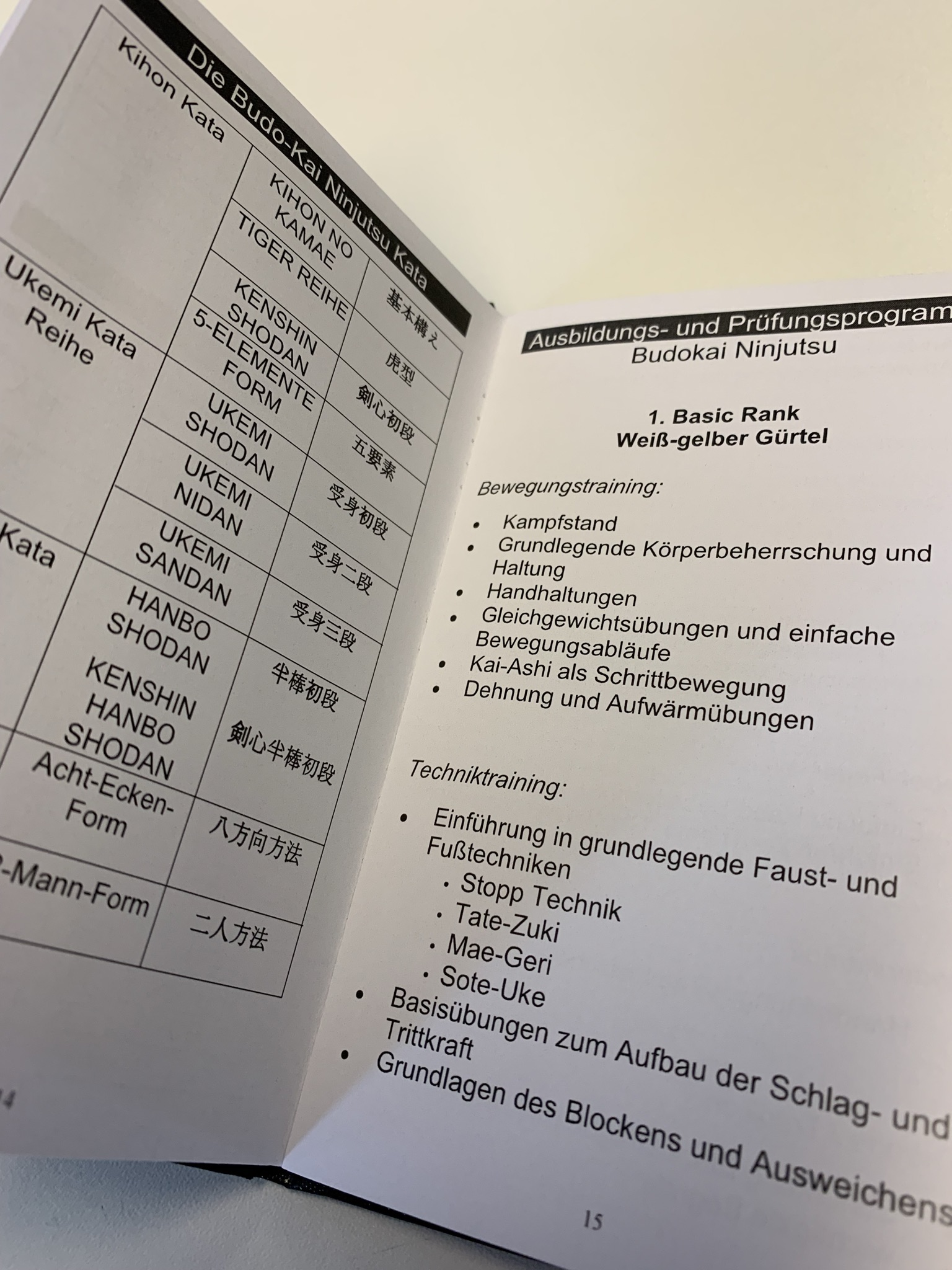 IBKMAF Ninjutsu Manual